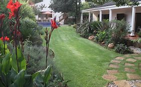 Lucky Bean Guesthouse
